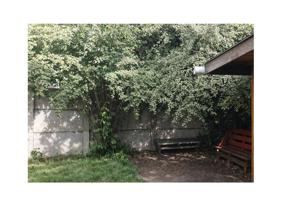 Coyhaique Arrienda Casa Próximamente 31.03.2026. Acepta perro Toy!