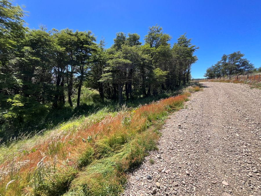 Vende Parcela " Hermosura del alma indómita del Sur"