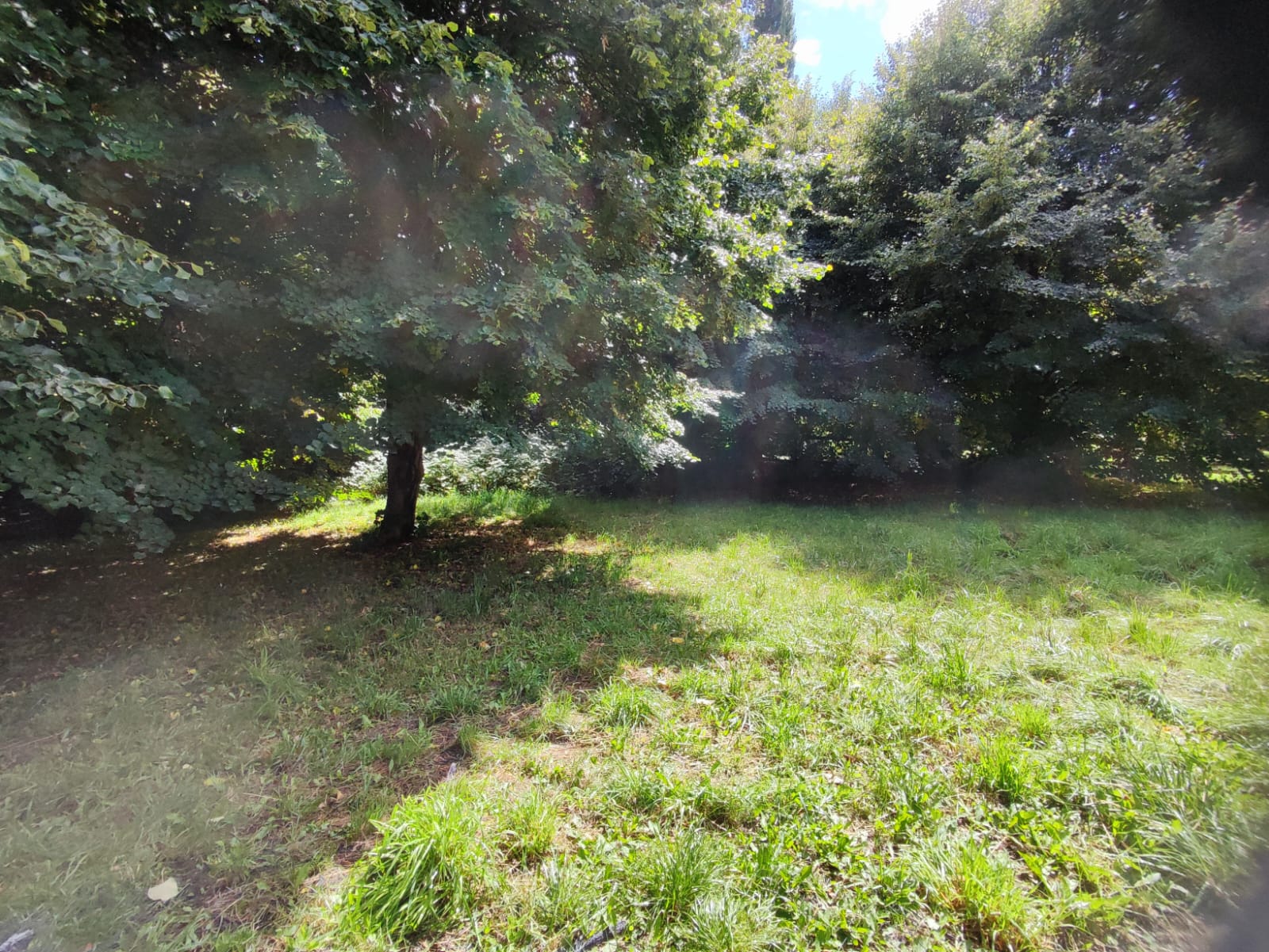 Arriendo Una Casa En Sector Urbano Con Entorno Rural