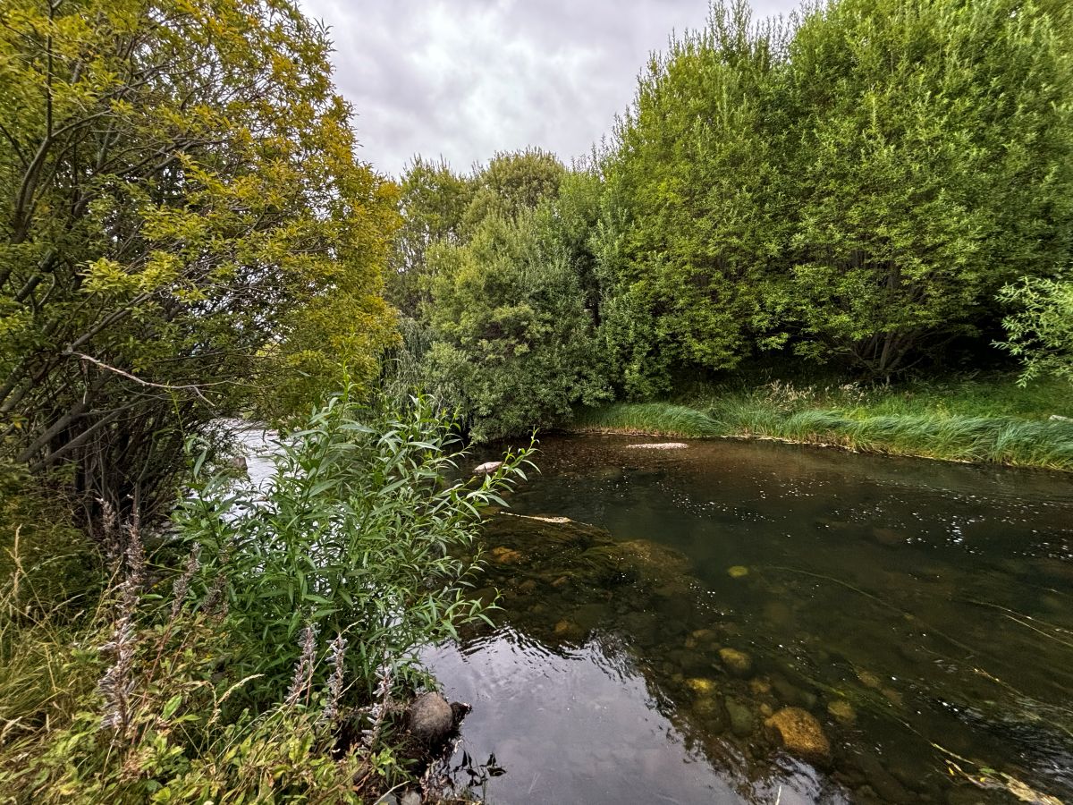Próximamente, arriendo casa con costa de río, entorno natural, 4 mn de Coyhaique