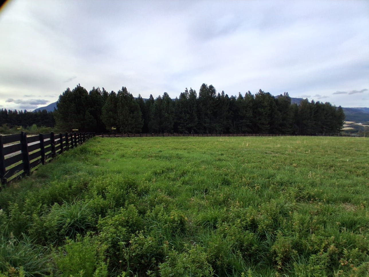 Parcela Perfecta Loteo Altavista