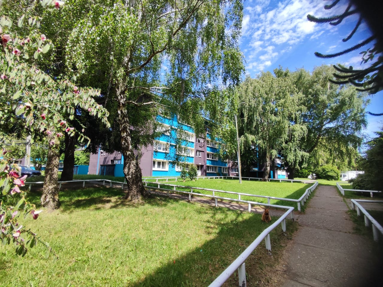 Arriendo Próximamente Apartamento Zona Residencial Alto Interés  "Las Nieves-Sector Regimiento"