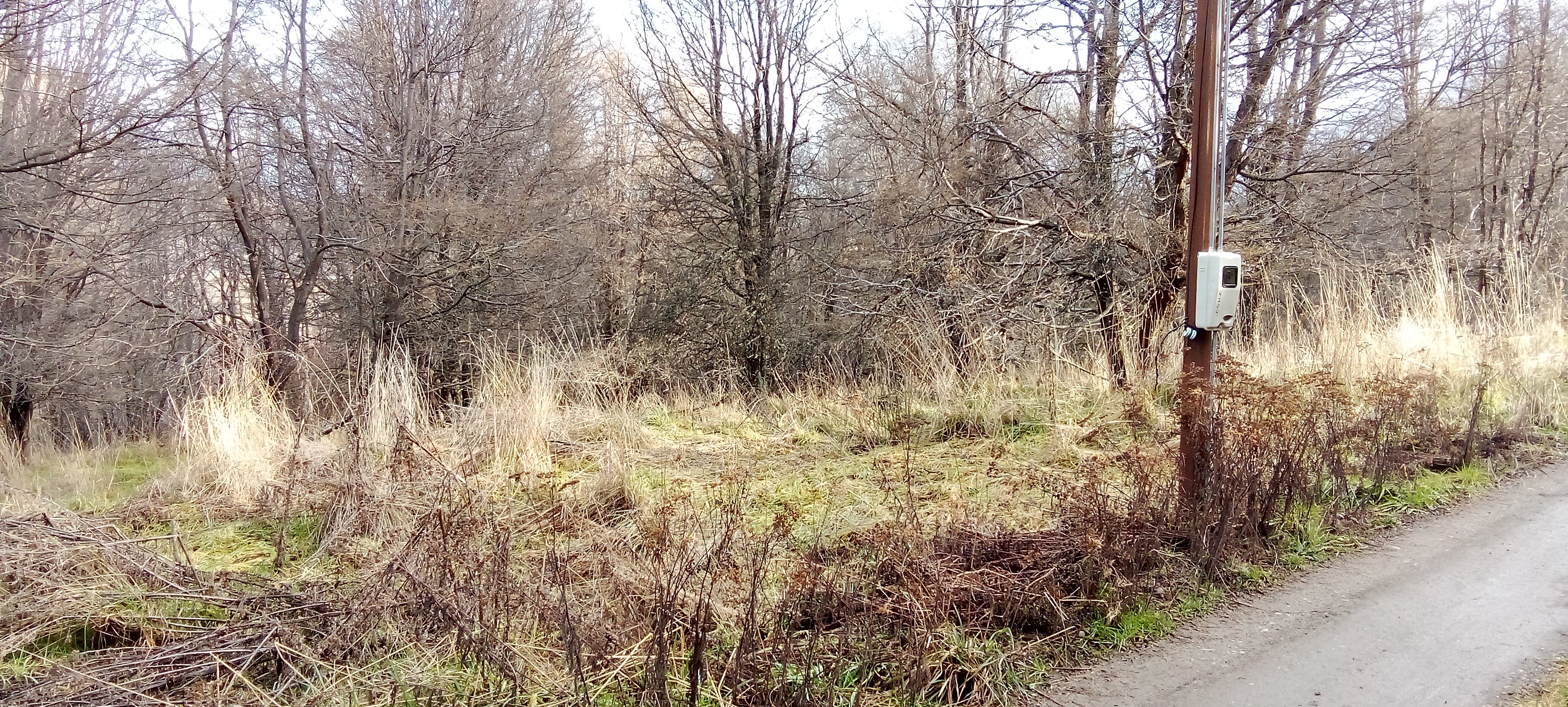 Coyhaique Vende Parcela gran potencial