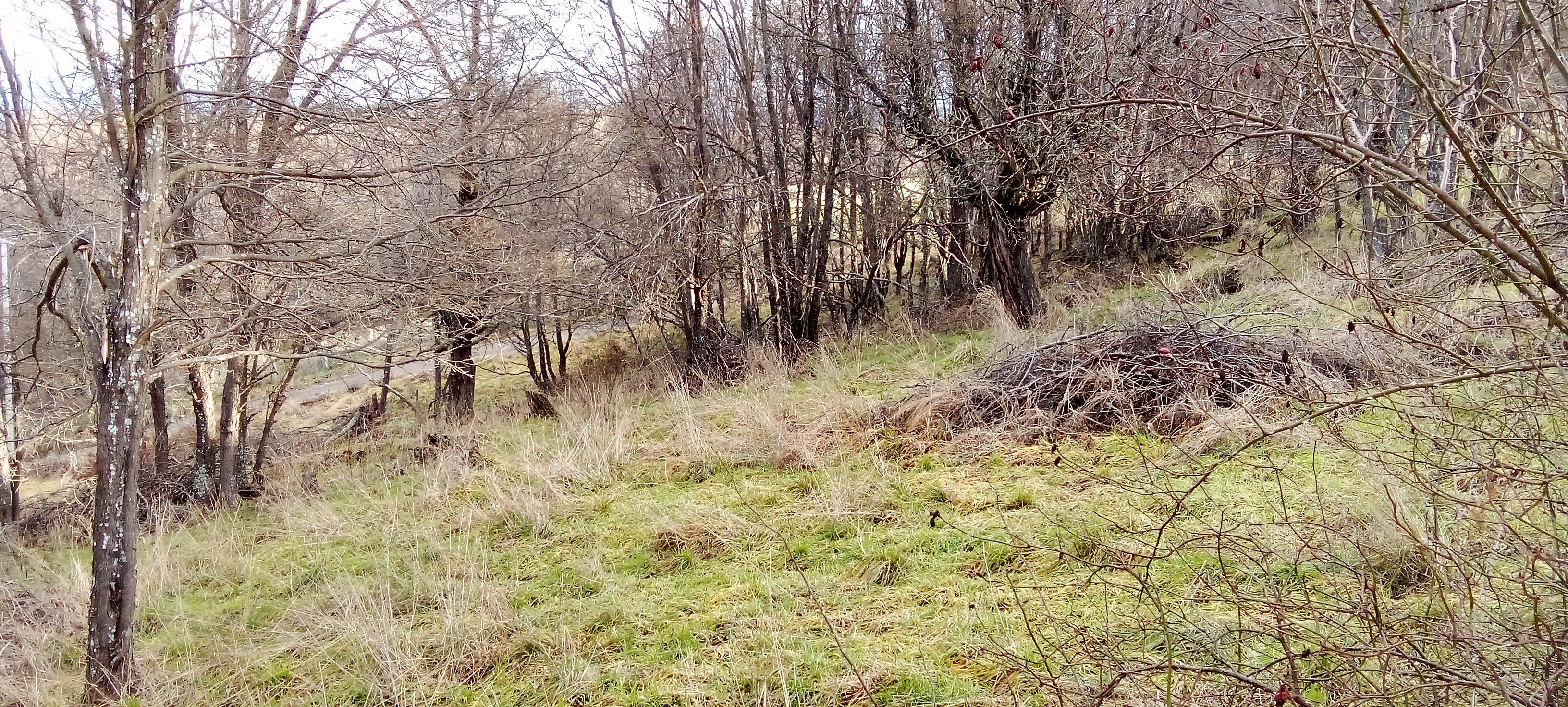 Coyhaique Vende Parcela gran potencial