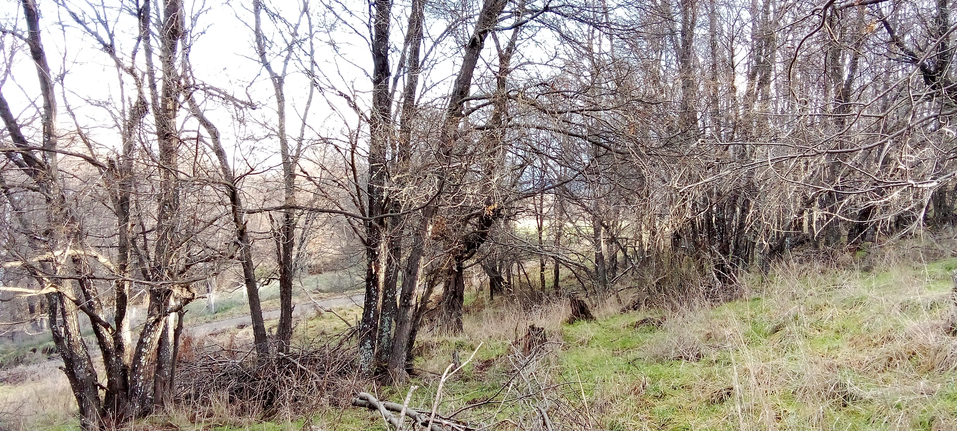 Coyhaique Vende Parcela gran potencial