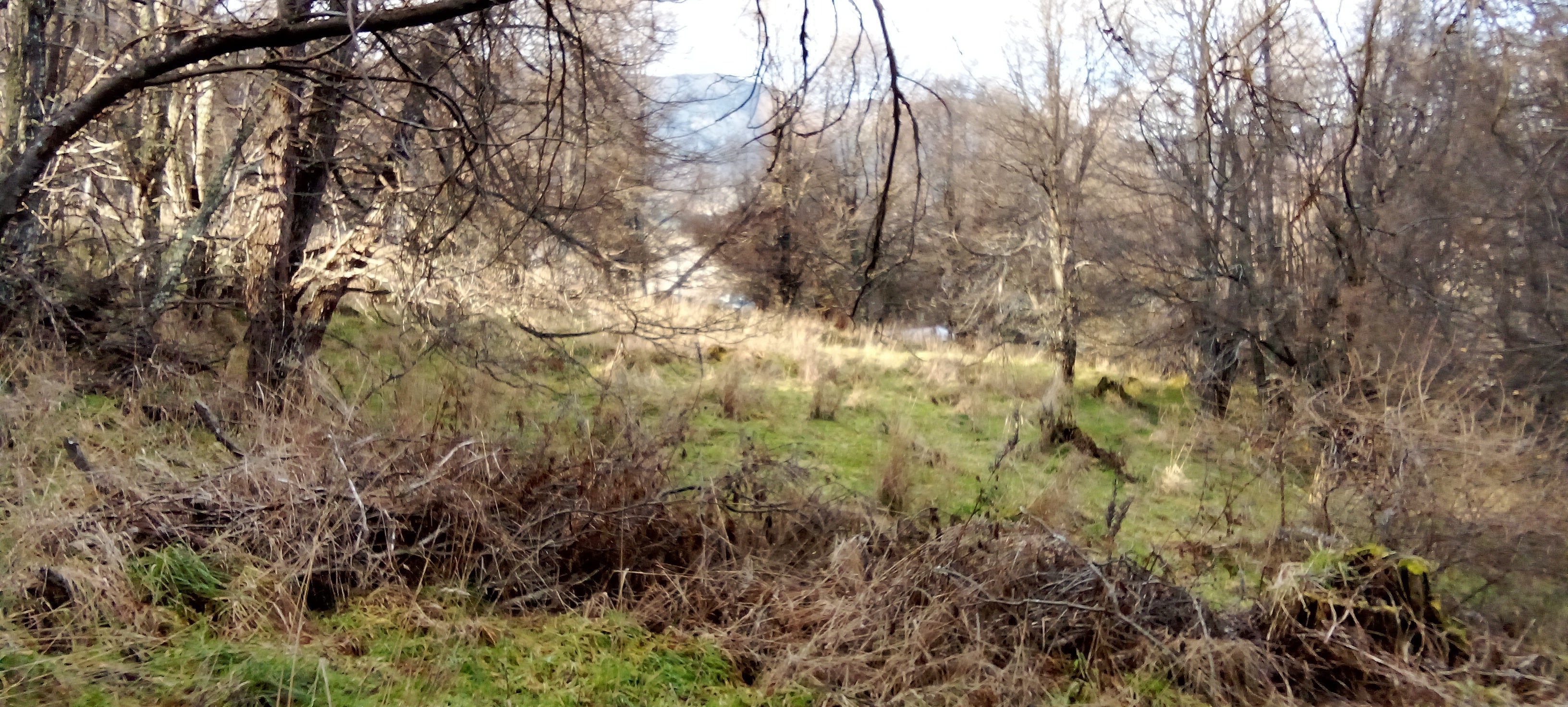 Coyhaique Vende Parcela gran potencial