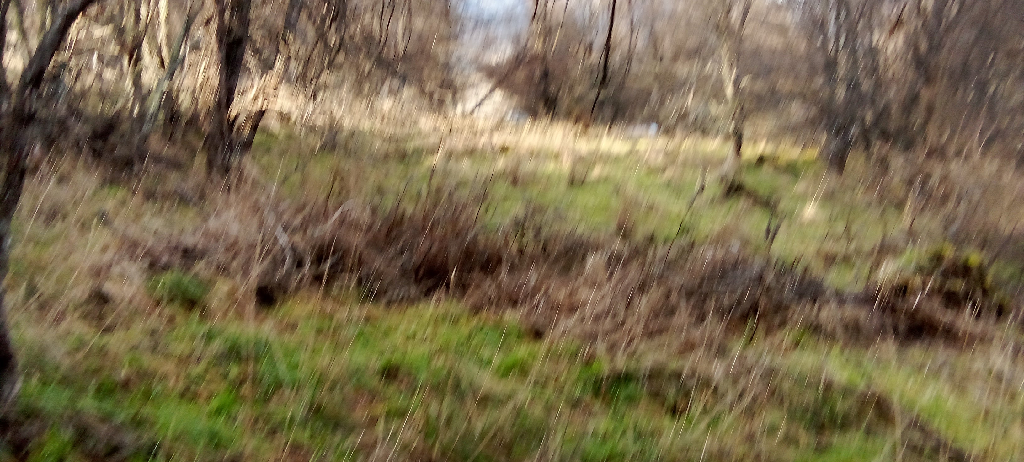 Coyhaique Vende Parcela gran potencial