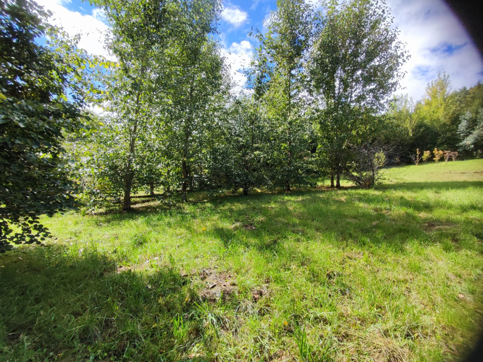 Arriendo Una Casa En Sector Urbano Con Entorno Rural