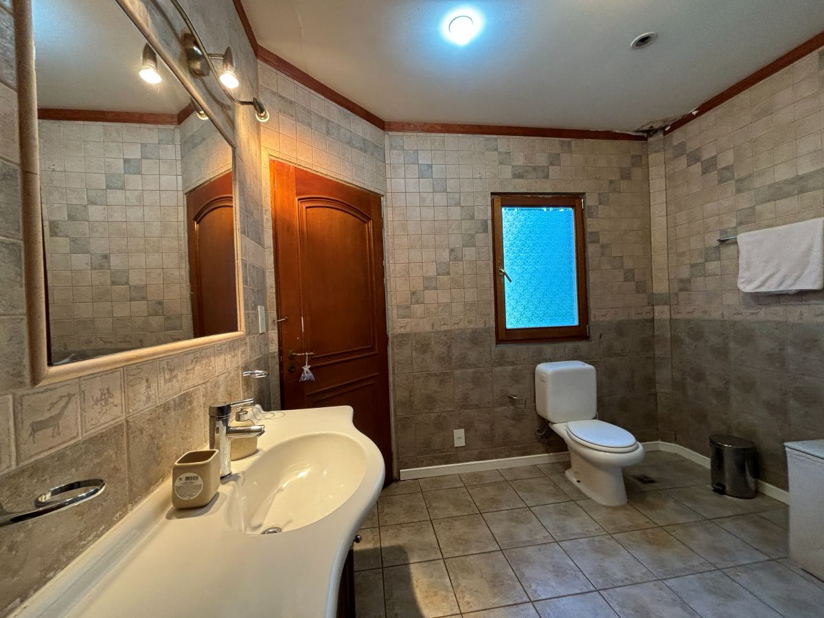 Próximamente, arriendo casa con costa de río, entorno natural, 4 mn de Coyhaique